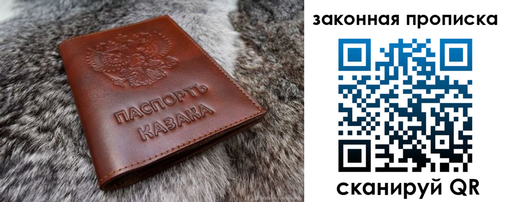прописка в Кондрово